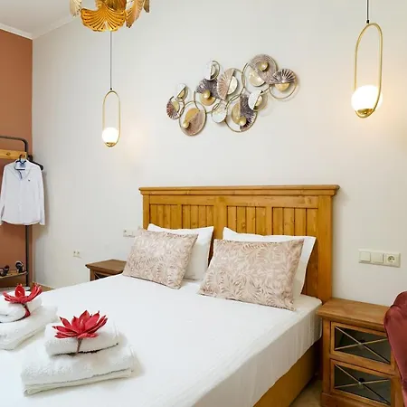 Luxury House Niso